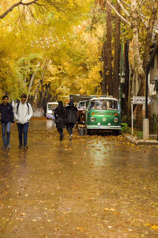 Photograph by mahdi nasr