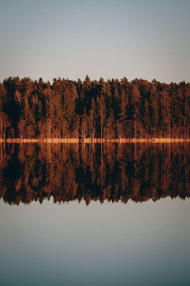 Photograph by Hendrik Osula