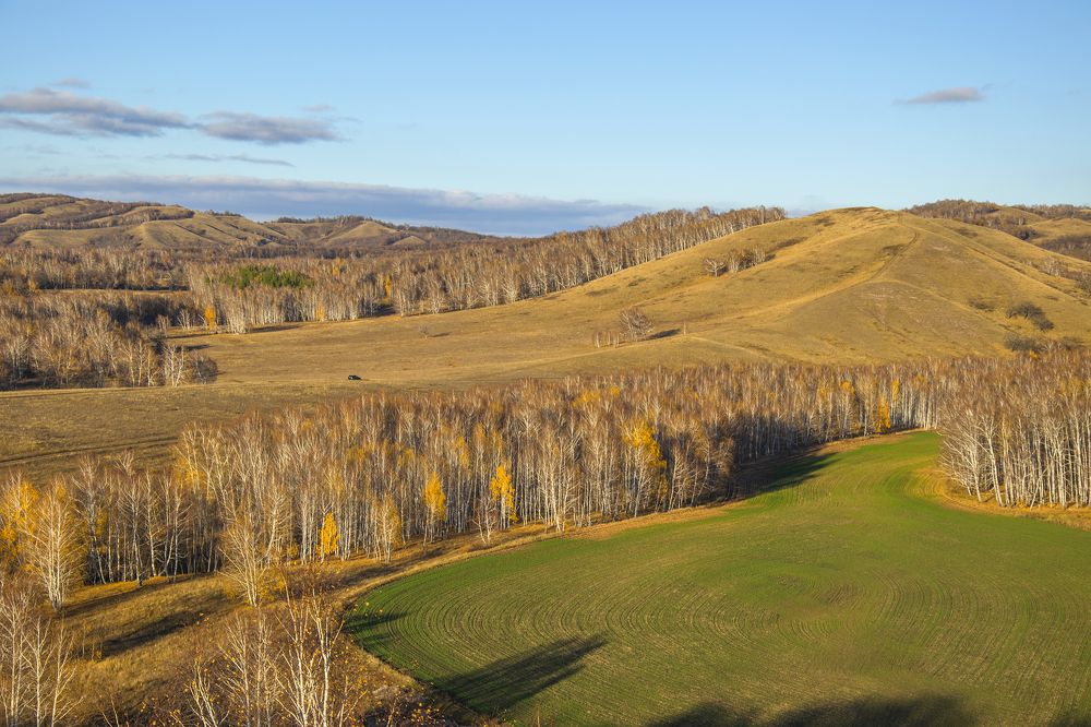 Photograph by Александр Кижапкин