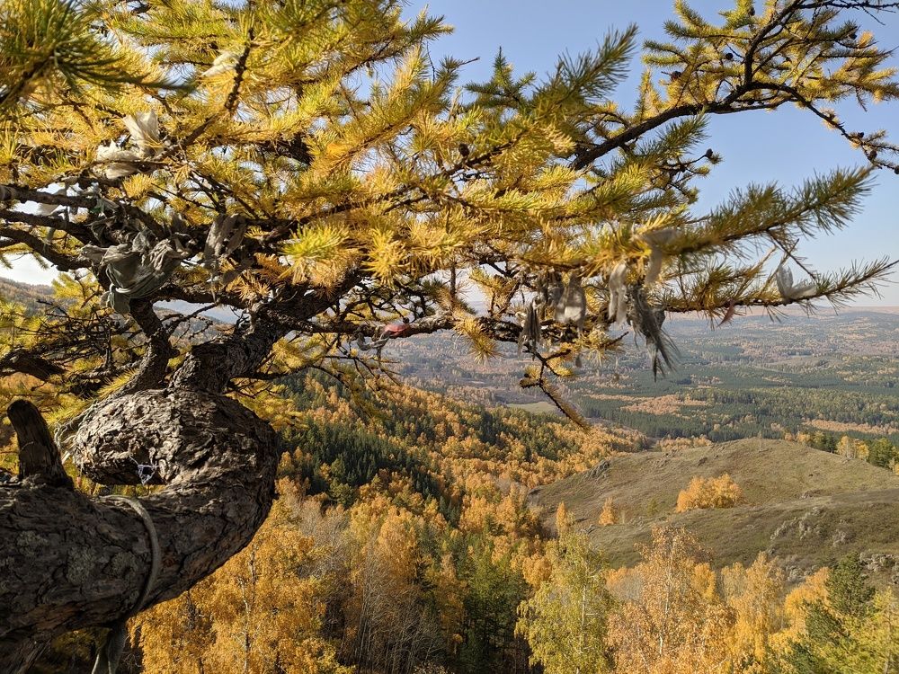 Photograph by Зульфия Курманова