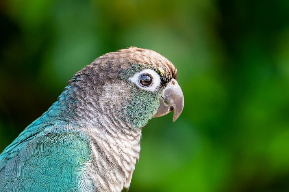 Photograph by TRUONG DINH