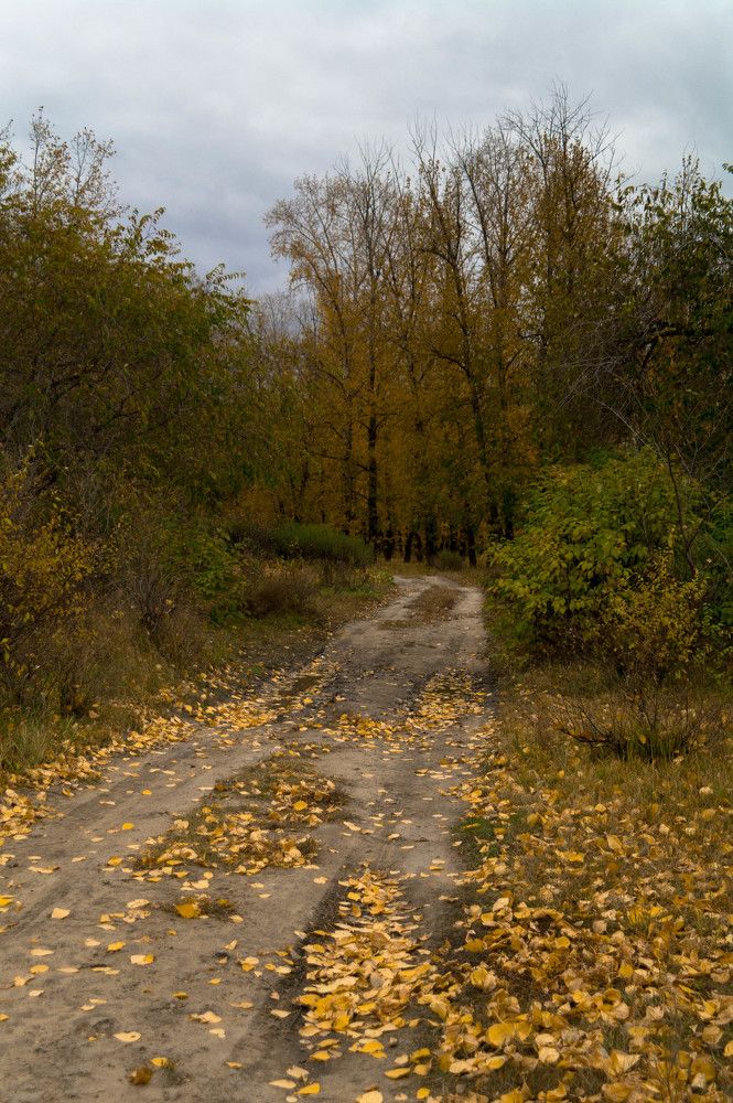 Photograph by Nina Semikhvatskya