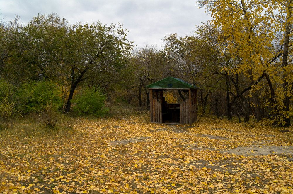 Photograph by Nina Semikhvatskya