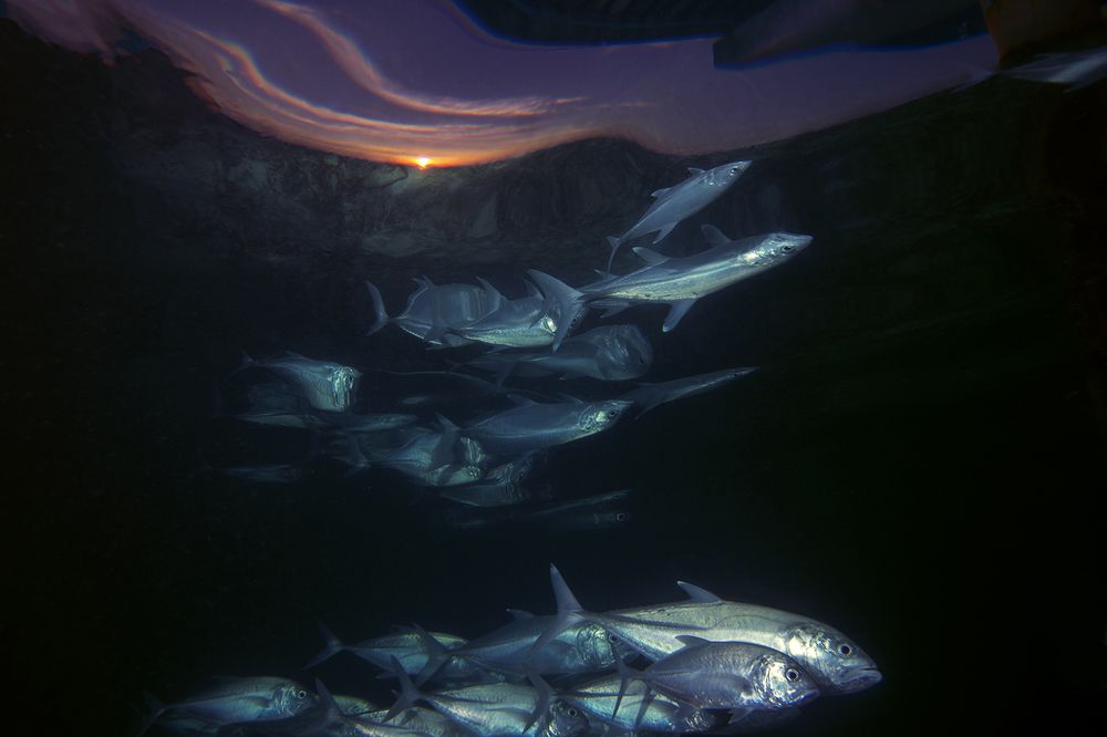 Photograph by Marco Ricciardi Tenore