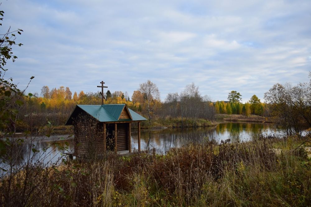 Фотография автора ОКСАНА ЛЬДИНИНА