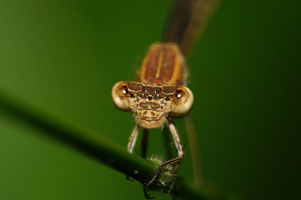 Photograph by Sergios  Kozmidis