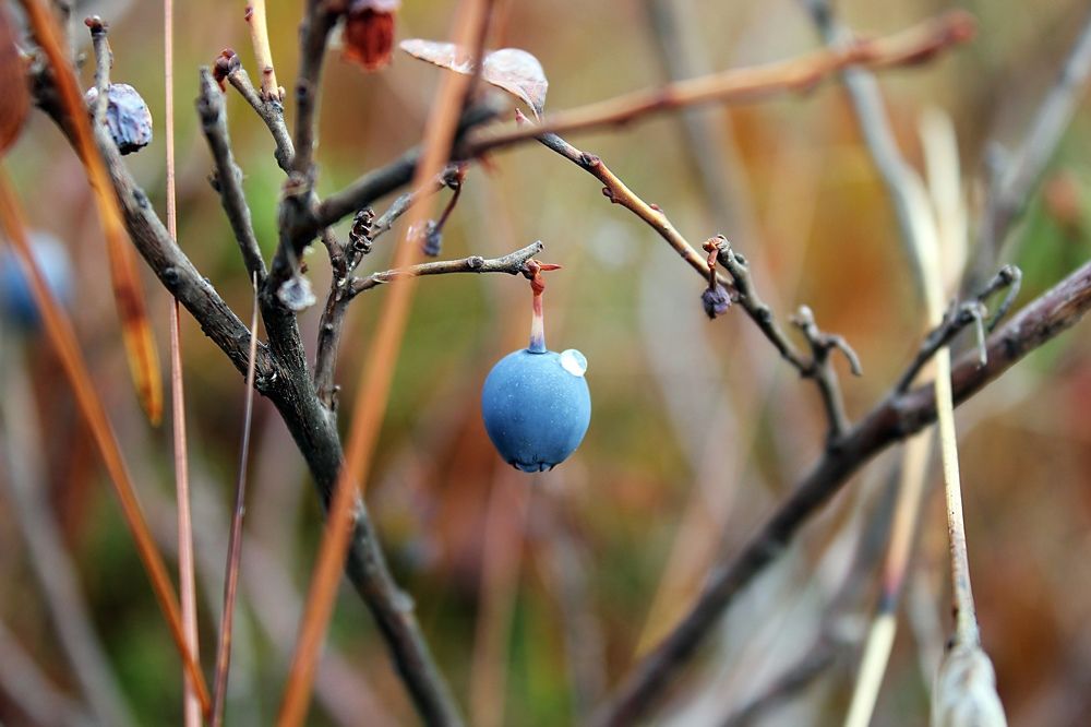 Photograph by Чурсинова Юлия