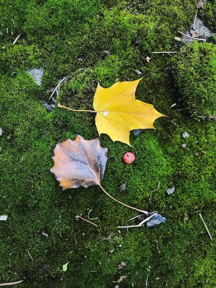 Фотография автора Яна