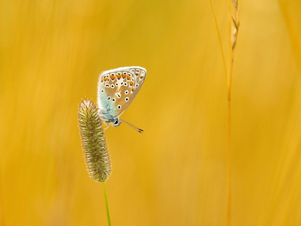Photograph by Philip Bjergvang Theilsgaard