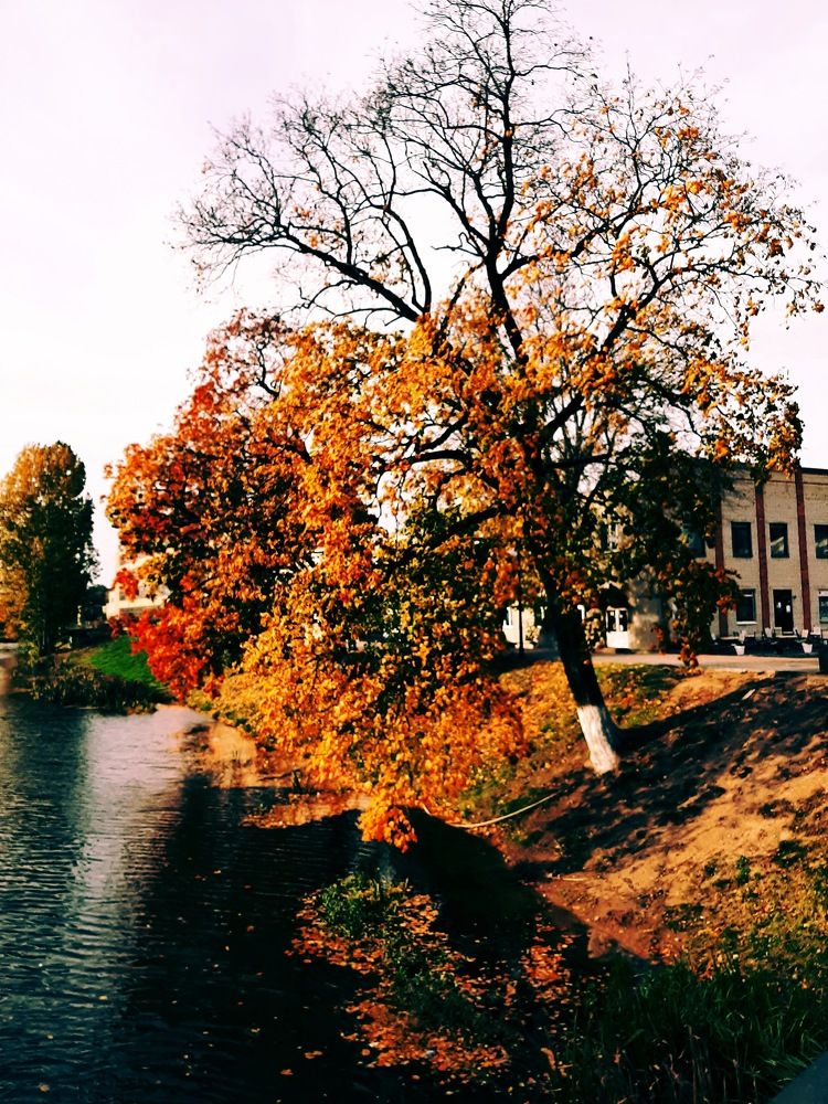 Photograph by Елизавета Иванова