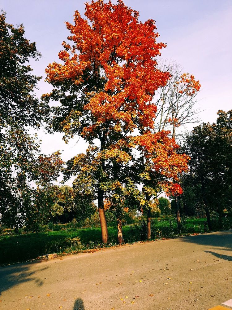 Photograph by Елизавета Иванова