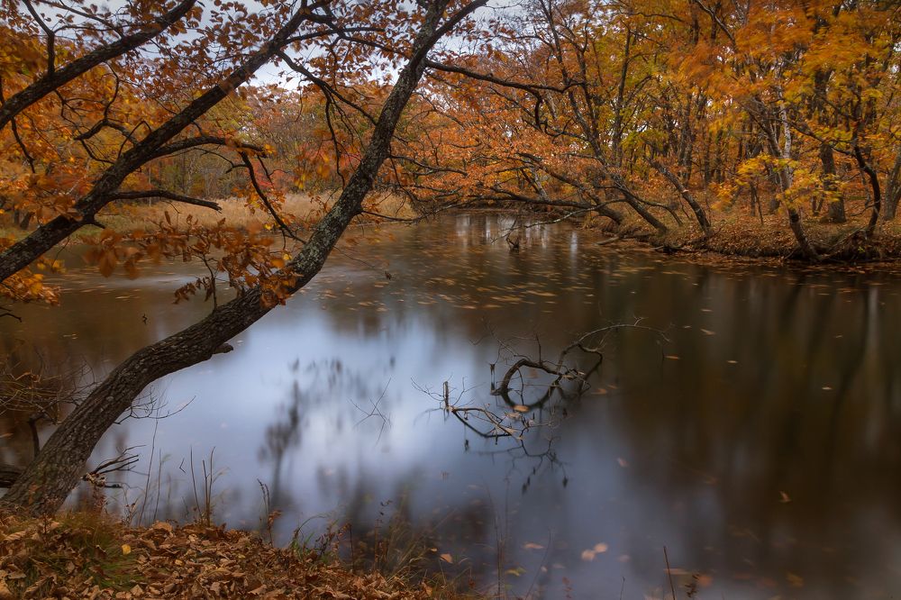 Photograph by Андрей Ефимов