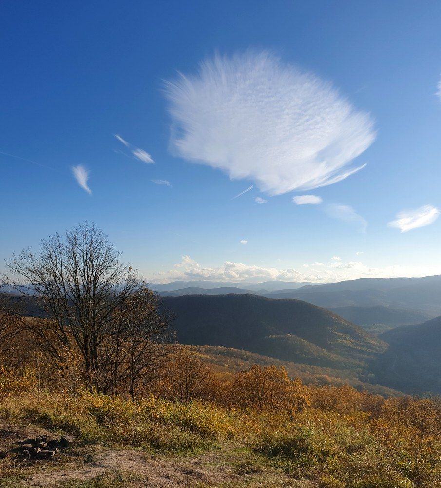 Осенняя композиция