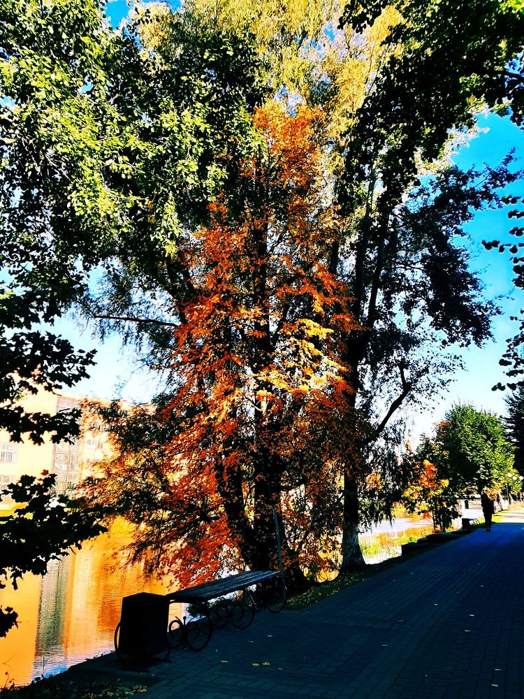 Photograph by Елизавета Иванова