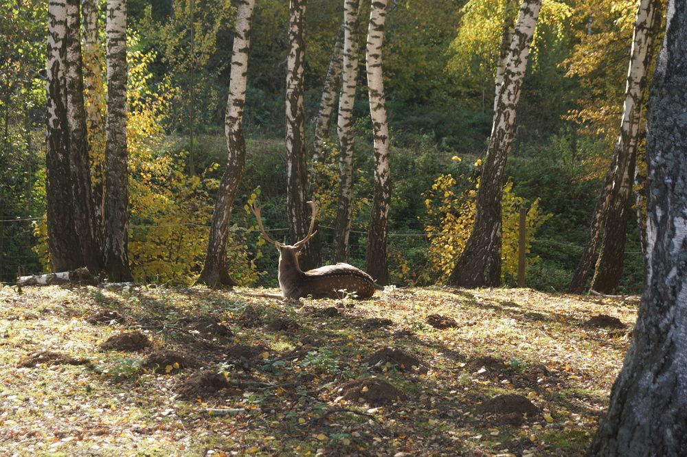 Photograph by Александр Пегов