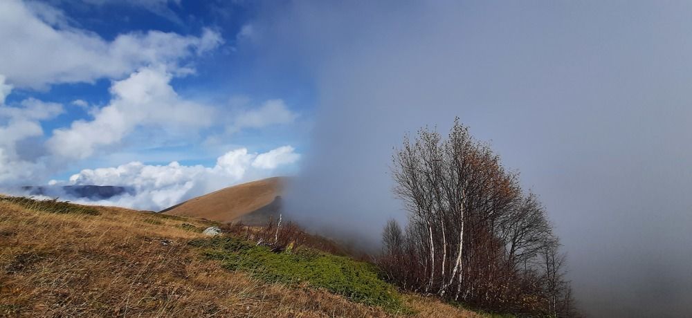 Смена декораций.