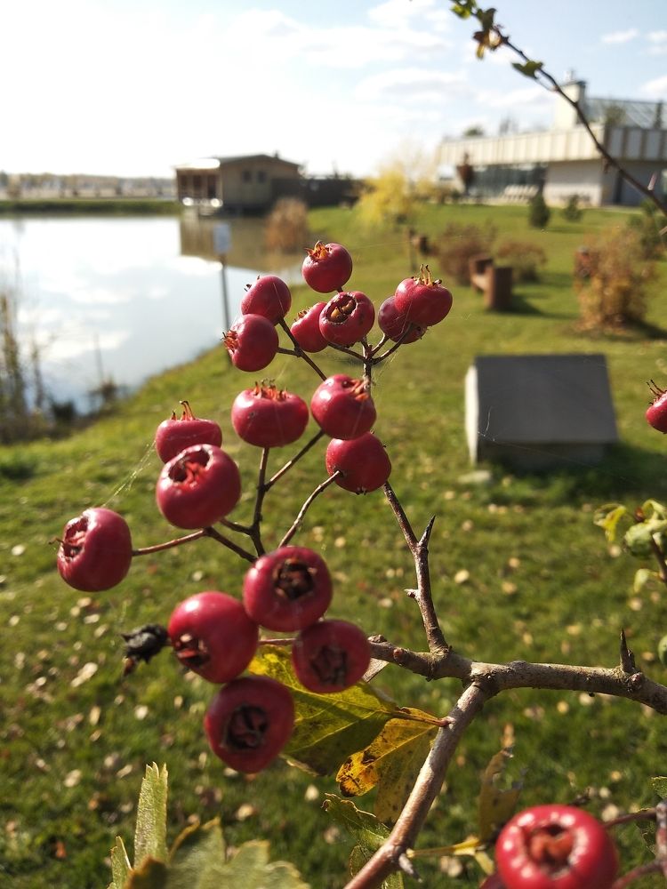 Photograph by Анастасия Ярошевич