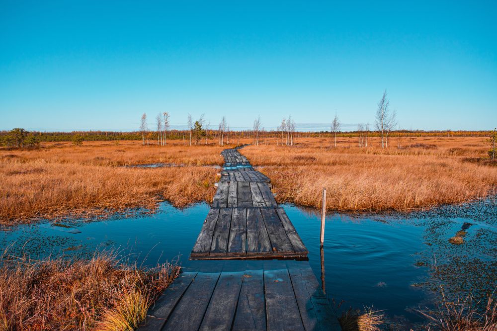 Photograph by Ирина Кочергина