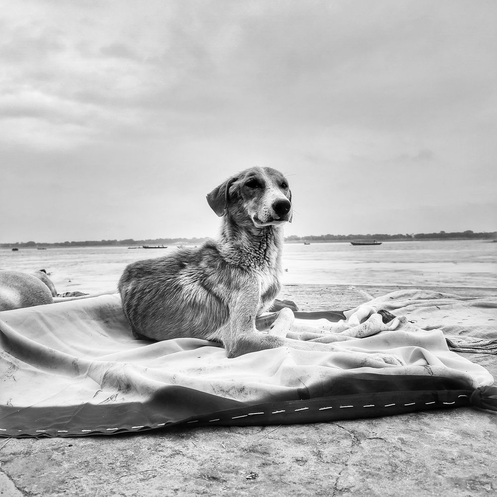 Photograph by Chandan kumar das