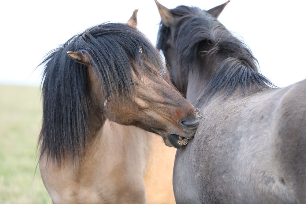 Photograph by Ольга Одаренко