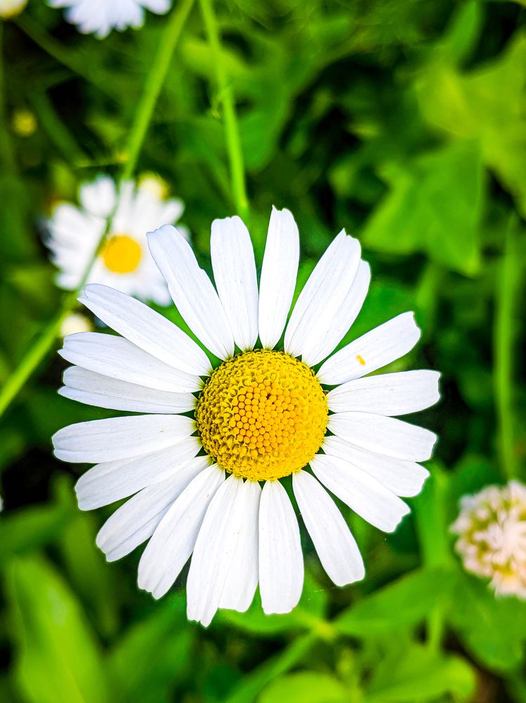 Photograph by Дмитрий Малышев