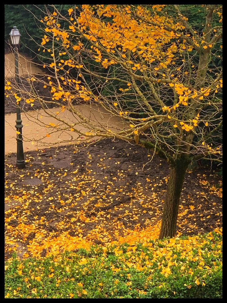 Photograph by Ann-Marie