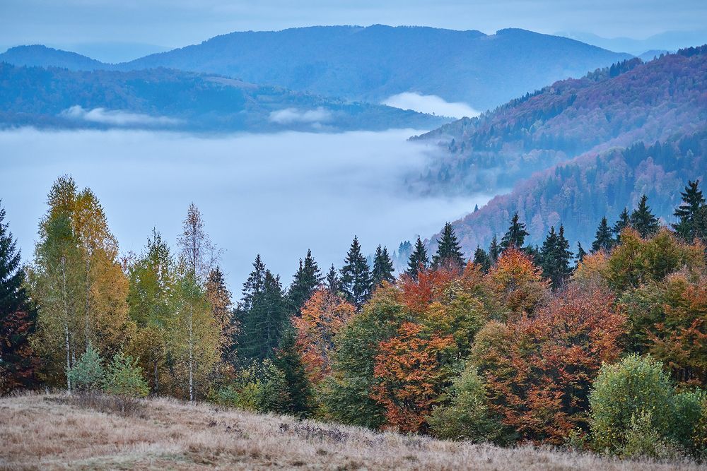 Photograph by Игорь