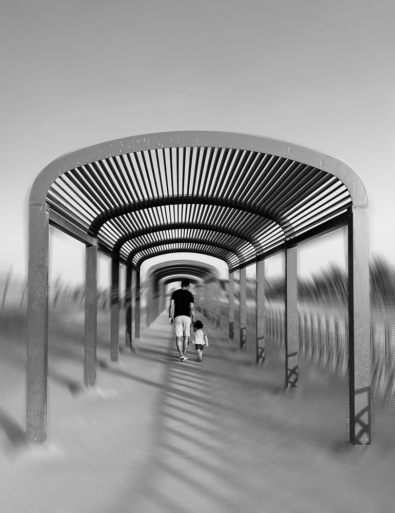 Photograph by ramleh kargar