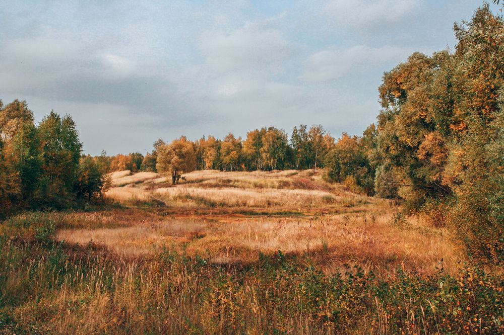 pond Jubilee city of Elektrostal