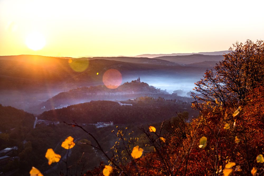 Фотография автора Ivelina Petkova