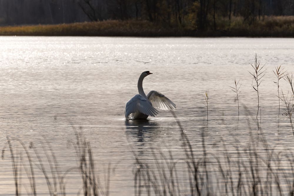 Photograph by Galina