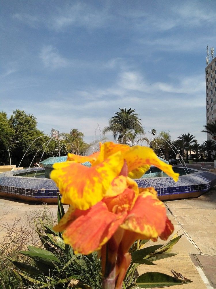 Autumn in my country