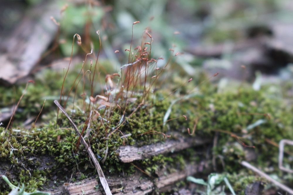 Photograph by Софья