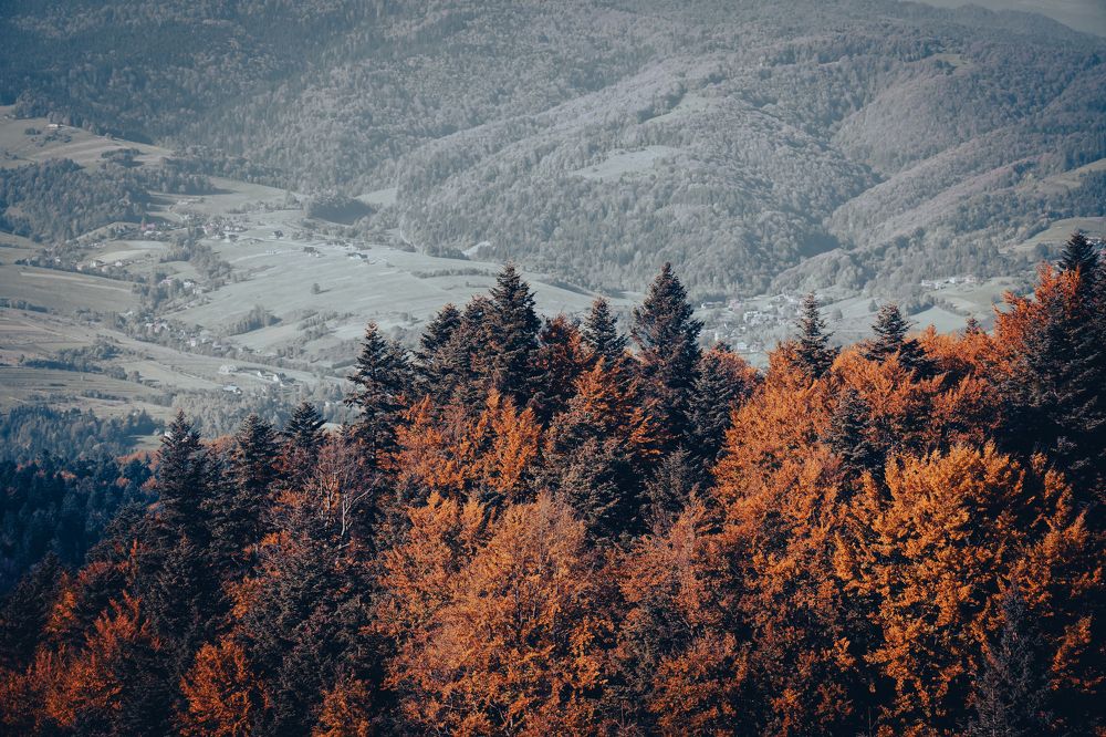 Photograph by Mateusz Glowacki