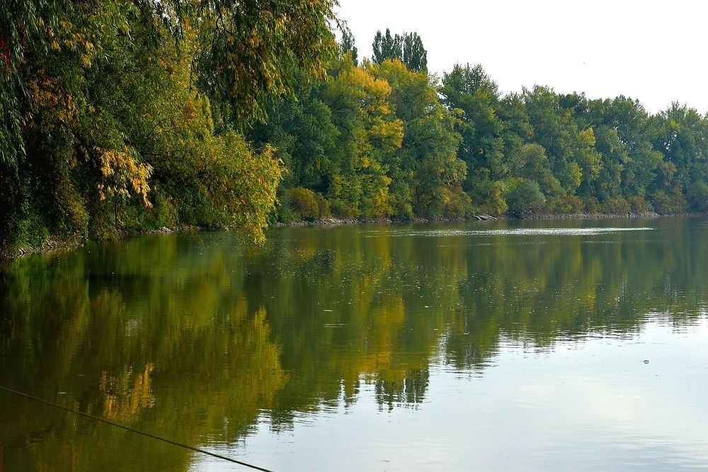 Photograph by Tabit Rodica