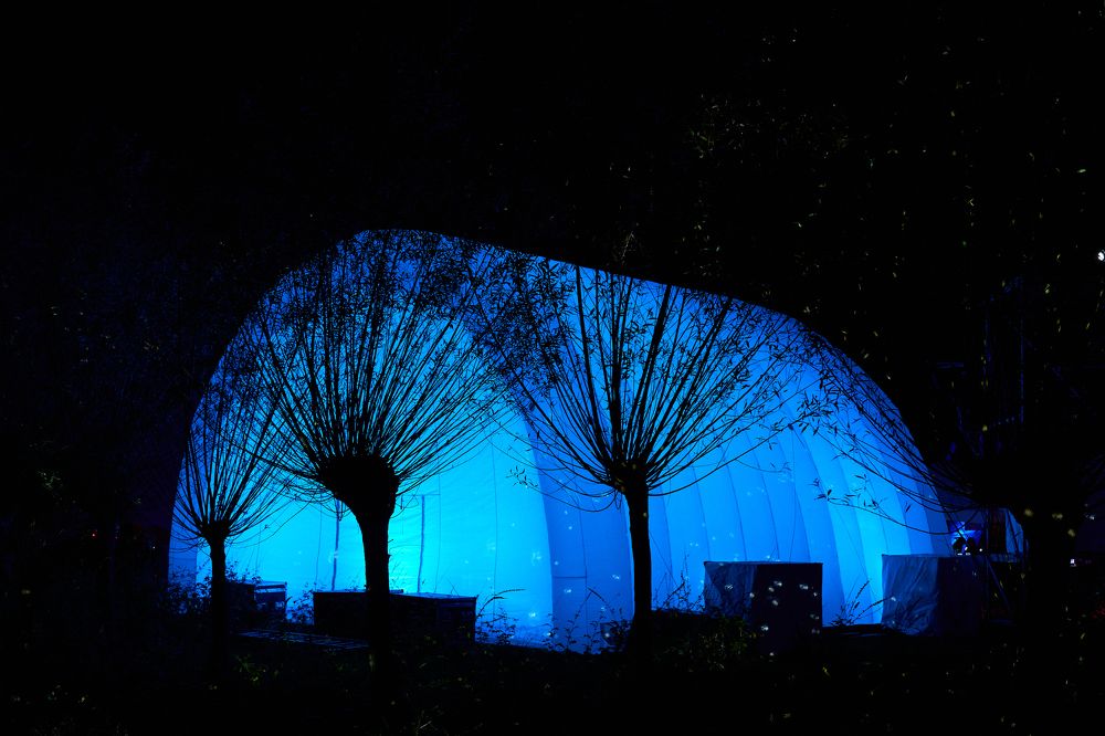 Photograph by Sergey Vogel