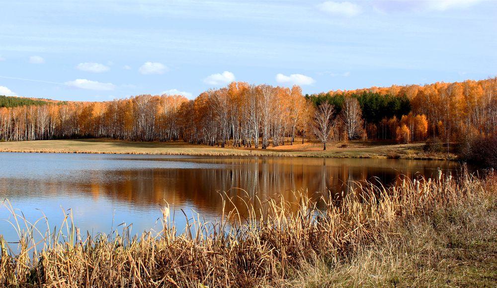 На пруду октябрь