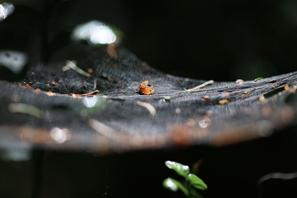 Photograph by Ольга Одаренко