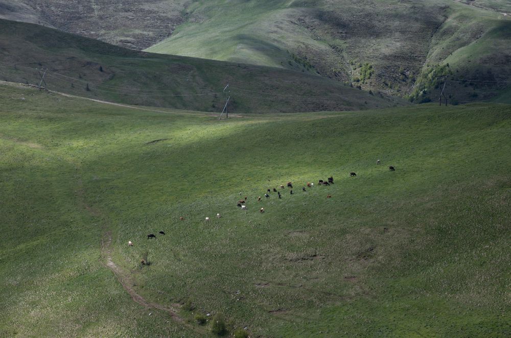 Плато Бечасын