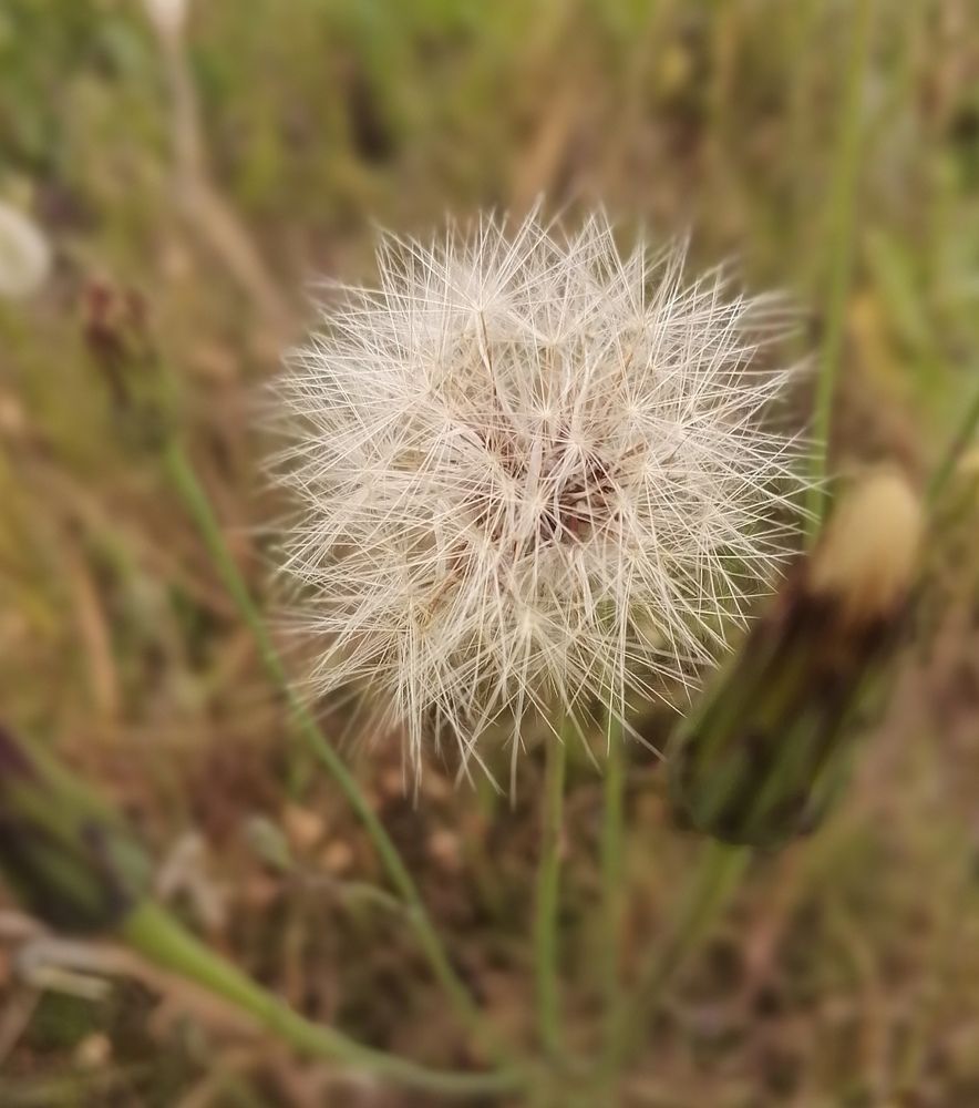 Photograph by Stephen Watkins