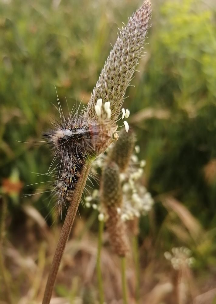 Photograph by Stephen Watkins
