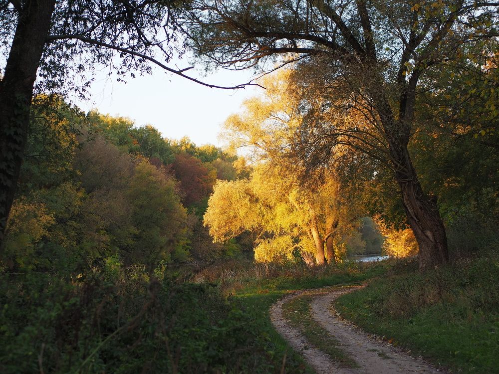 Photograph by Бабаев Андрей