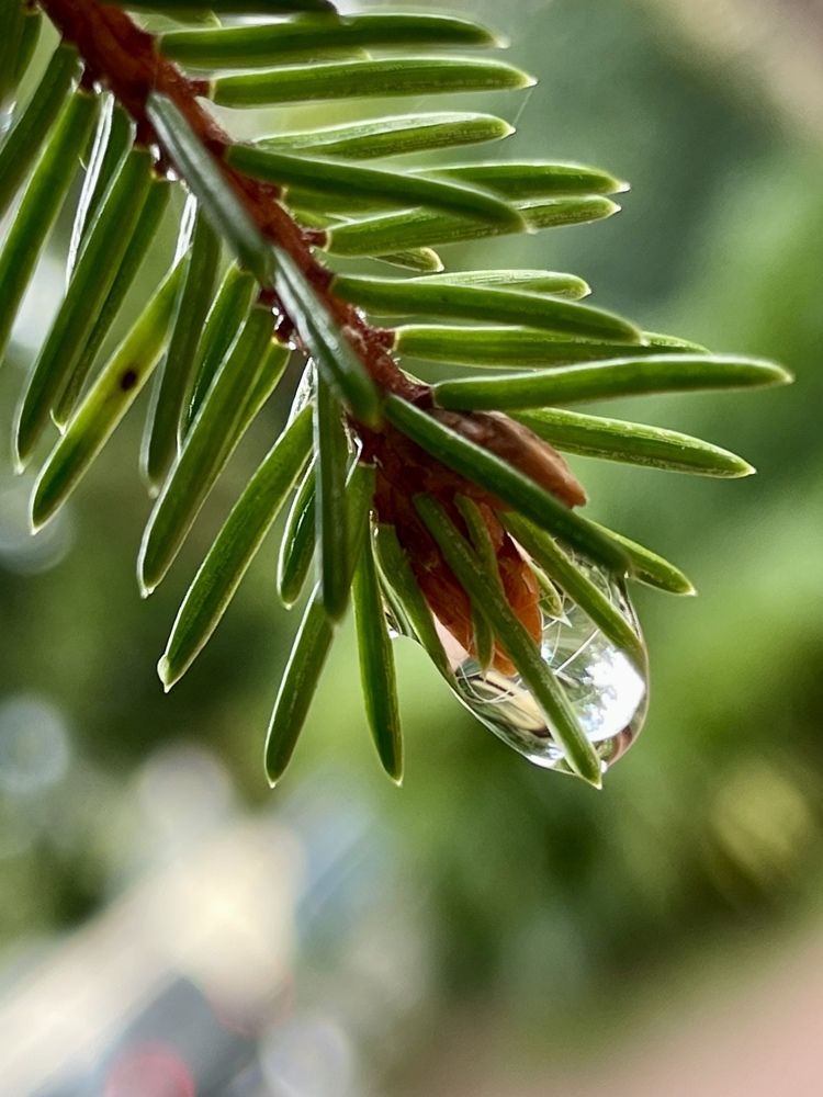 Photograph by Елена Горбунова