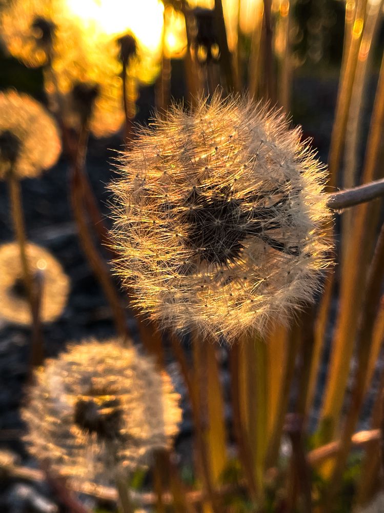 Photograph by Елена Горбунова