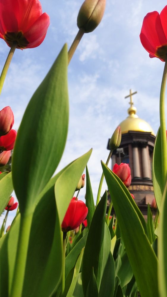 Фотография автора Мария Александрова