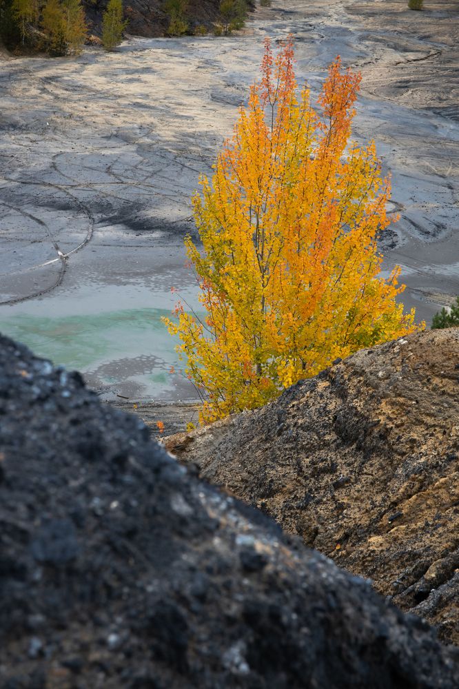 Photograph by Евгения Гудкова