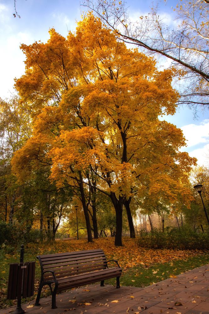 Photograph by Юрий Ткачев