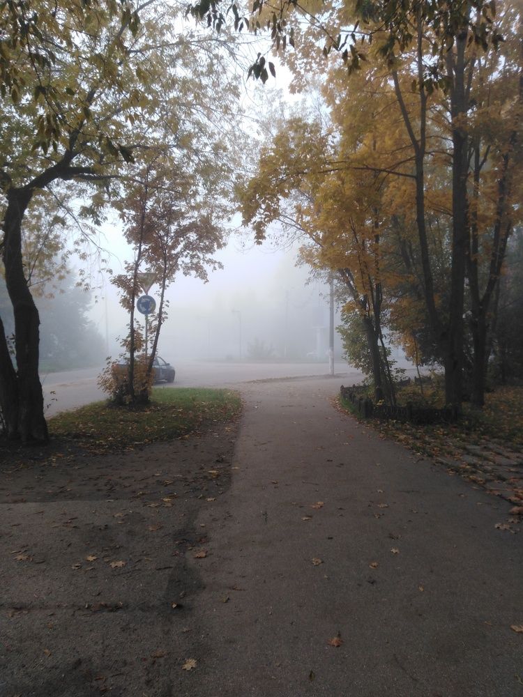 Photo #6641466