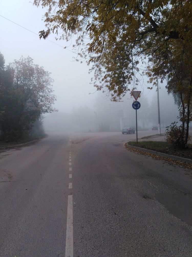 Photo #6641469