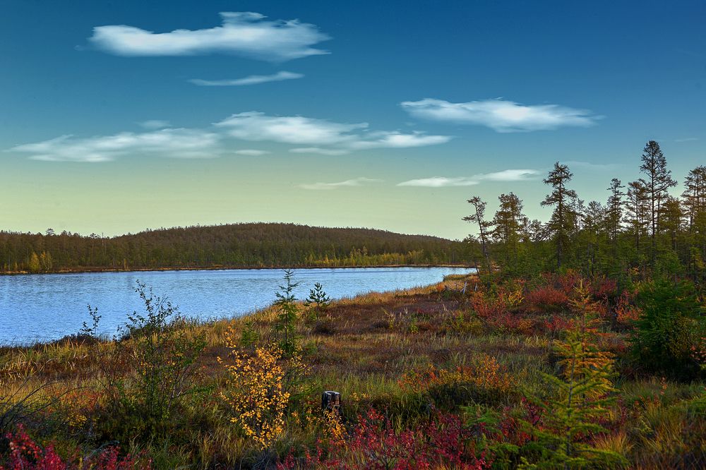 Photograph by Александр Шипиленко